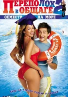  Переполох в общаге 2: Семестр на море смотреть онлайн (2006) 