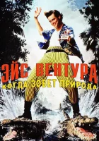  Эйс Вентура 2: Когда зовет природа смотреть онлайн (1995) 